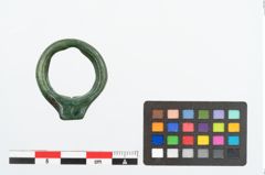 Foto von Bronzering (NHMW-PRAE-025962)